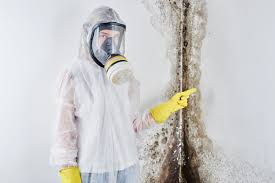 Best Air Quality Testing for Mold Spores  in Brownsville, TX